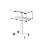 SELKA HOSPI L mobile hospital trolley with medicine cup slots and reading stand